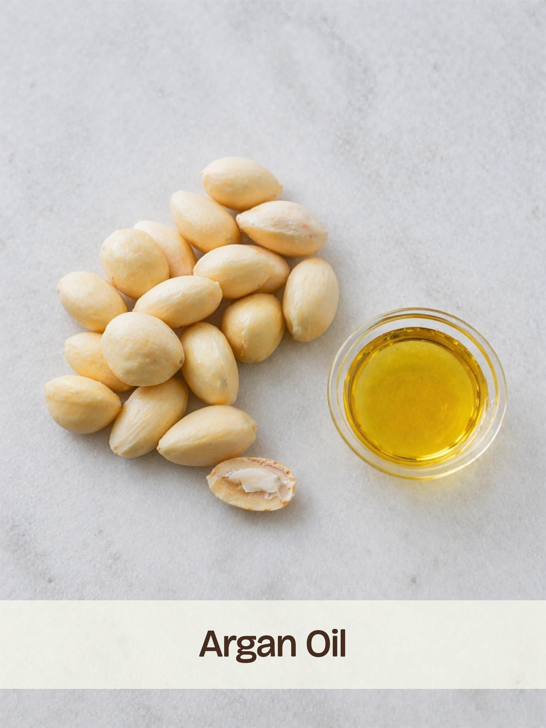 Replenishes lost lipids from root to tip