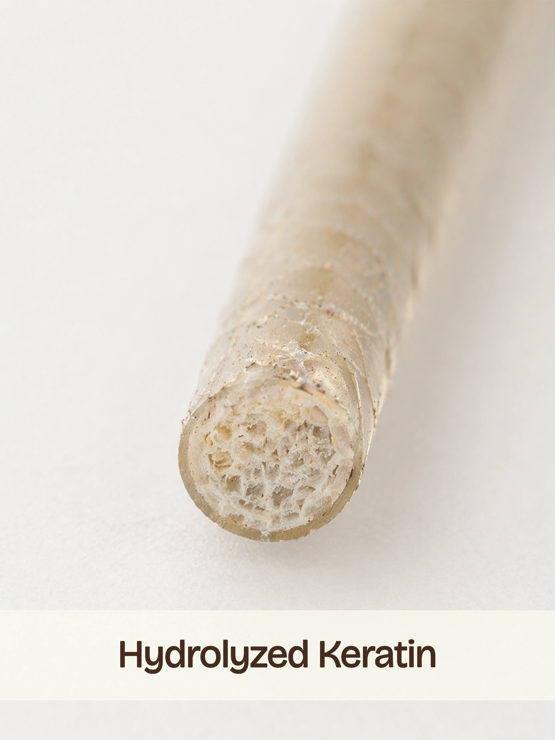 Fills structural gaps in weakened hair fibre