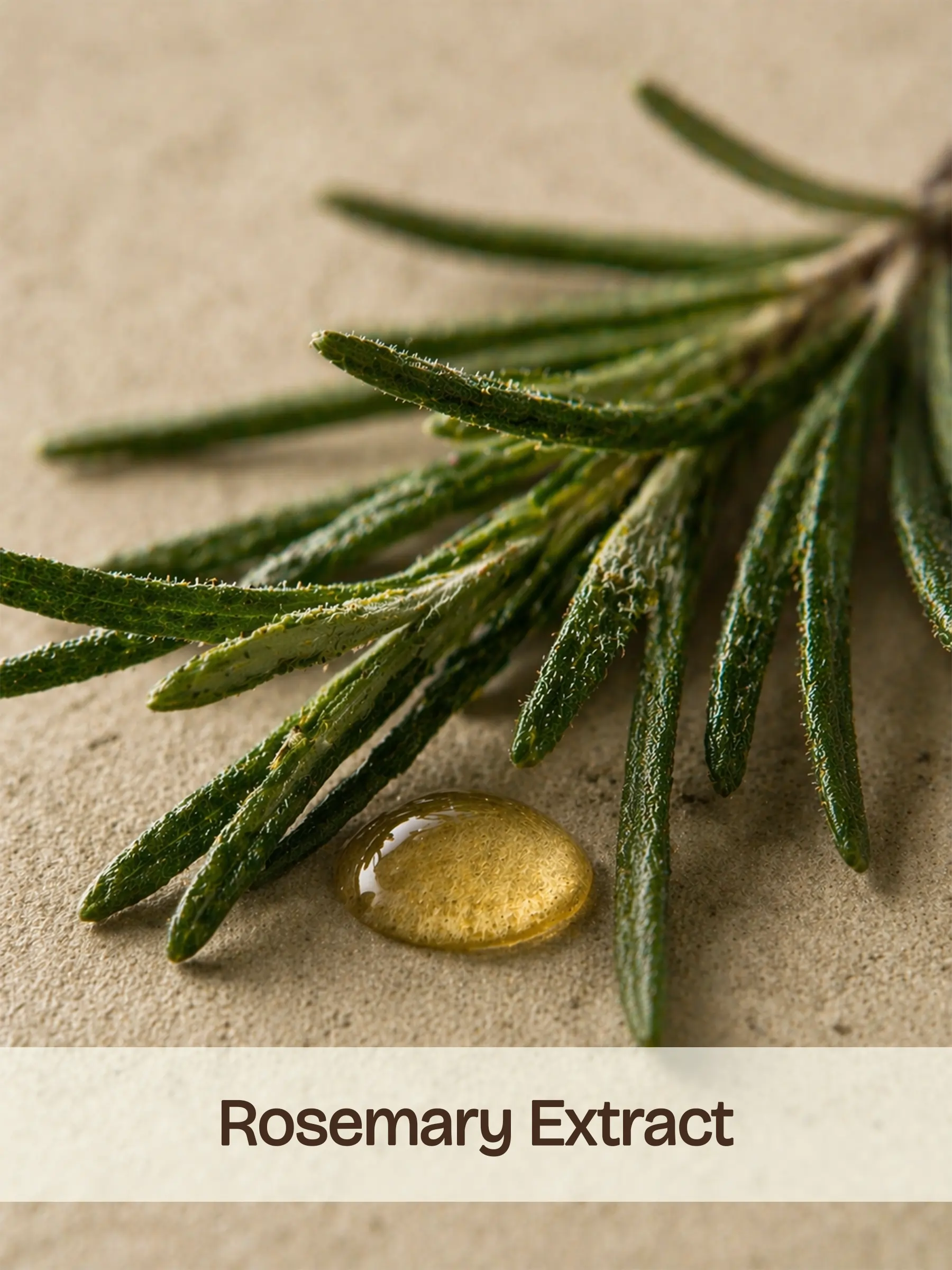 Stimulates circulation and protects against oxidative decline